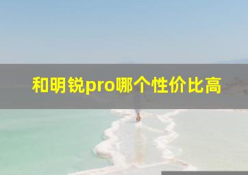 和明锐pro哪个性价比高