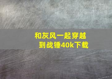 和灰风一起穿越到战锤40k下载