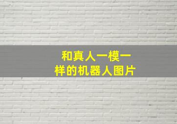 和真人一模一样的机器人图片