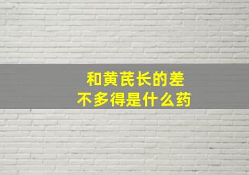 和黄芪长的差不多得是什么药