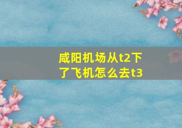 咸阳机场从t2下了飞机怎么去t3