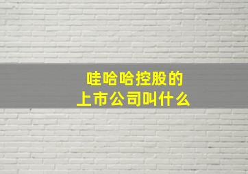 哇哈哈控股的上市公司叫什么