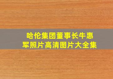 哈伦集团董事长牛惠军照片高清图片大全集