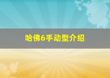 哈佛6手动型介绍