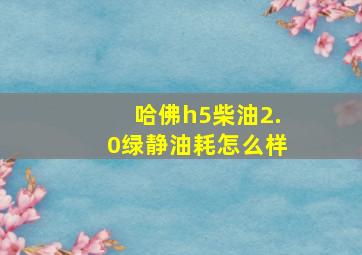 哈佛h5柴油2.0绿静油耗怎么样