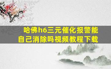 哈佛h6三元催化报警能自己消除吗视频教程下载