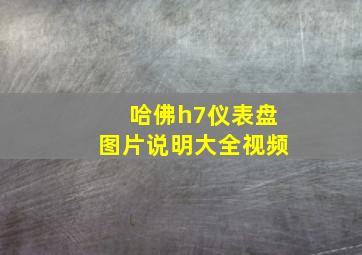 哈佛h7仪表盘图片说明大全视频