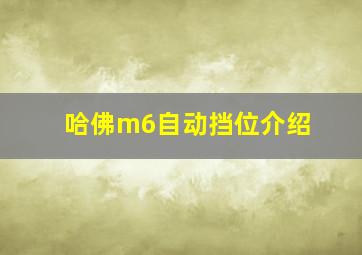 哈佛m6自动挡位介绍