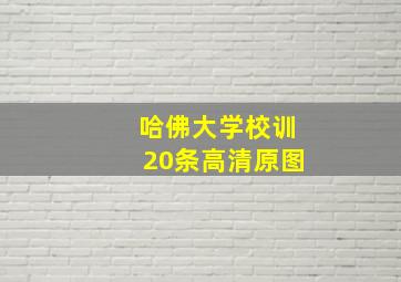 哈佛大学校训20条高清原图