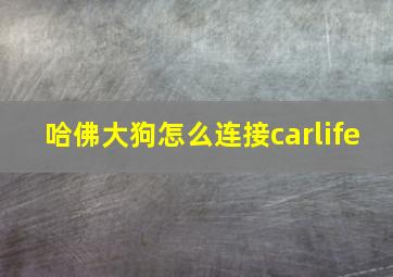 哈佛大狗怎么连接carlife