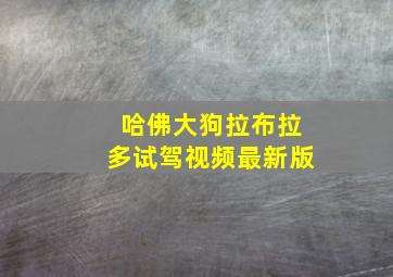 哈佛大狗拉布拉多试驾视频最新版