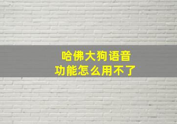 哈佛大狗语音功能怎么用不了