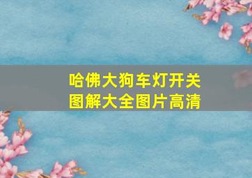 哈佛大狗车灯开关图解大全图片高清