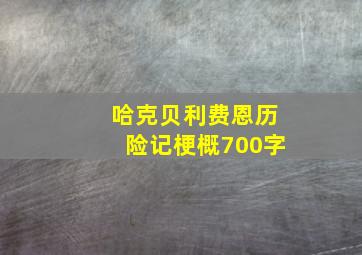 哈克贝利费恩历险记梗概700字