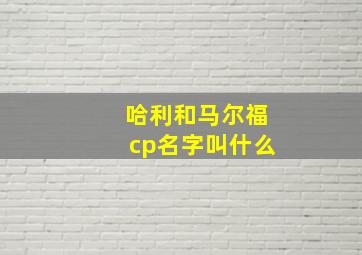 哈利和马尔福cp名字叫什么