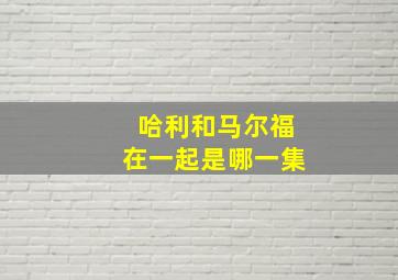 哈利和马尔福在一起是哪一集