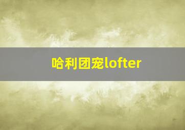 哈利团宠lofter