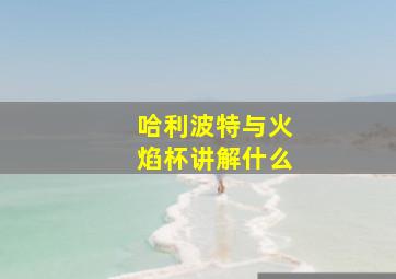 哈利波特与火焰杯讲解什么