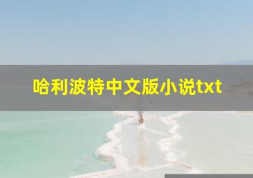 哈利波特中文版小说txt