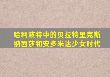 哈利波特中的贝拉特里克斯纳西莎和安多米达少女时代