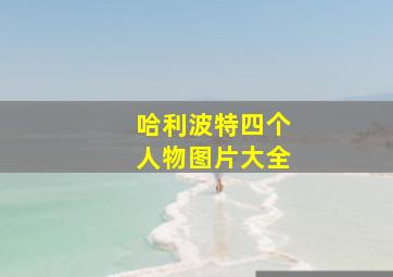 哈利波特四个人物图片大全