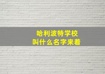 哈利波特学校叫什么名字来着