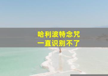 哈利波特念咒一直识别不了