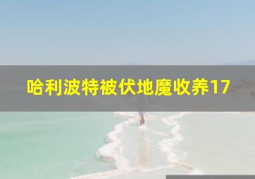 哈利波特被伏地魔收养17