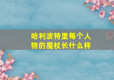 哈利波特里每个人物的魔杖长什么样