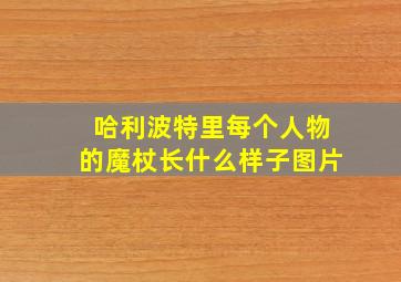 哈利波特里每个人物的魔杖长什么样子图片