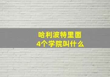 哈利波特里面4个学院叫什么