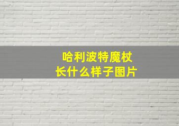 哈利波特魔杖长什么样子图片