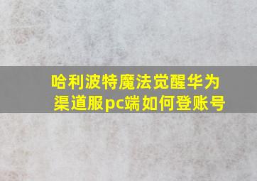 哈利波特魔法觉醒华为渠道服pc端如何登账号