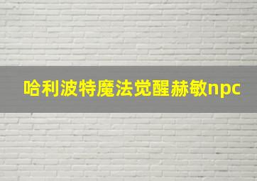 哈利波特魔法觉醒赫敏npc