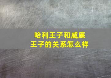 哈利王子和威廉王子的关系怎么样