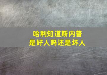 哈利知道斯内普是好人吗还是坏人