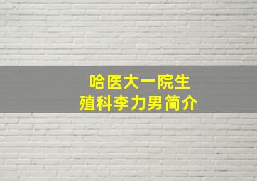 哈医大一院生殖科李力男简介