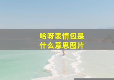 哈呀表情包是什么意思图片