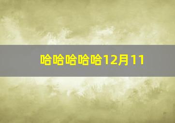 哈哈哈哈哈12月11