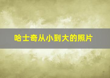 哈士奇从小到大的照片