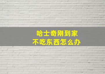 哈士奇刚到家不吃东西怎么办