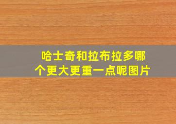 哈士奇和拉布拉多哪个更大更重一点呢图片