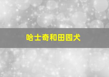 哈士奇和田园犬