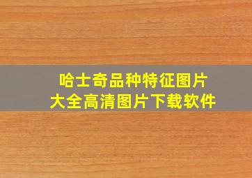 哈士奇品种特征图片大全高清图片下载软件