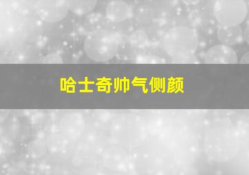 哈士奇帅气侧颜