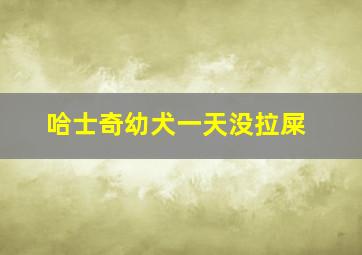 哈士奇幼犬一天没拉屎