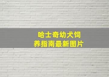 哈士奇幼犬饲养指南最新图片