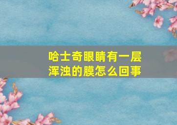 哈士奇眼睛有一层浑浊的膜怎么回事