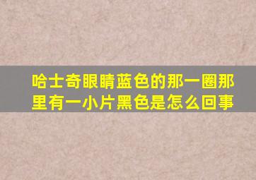 哈士奇眼睛蓝色的那一圈那里有一小片黑色是怎么回事