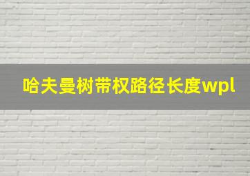 哈夫曼树带权路径长度wpl